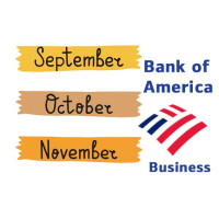 September, October, November 2024 Bank of America (Business) 3 Months Bank Statement