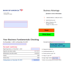 BOA November 2021 Editable Bank Statement 