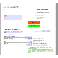 BOA Personal Bank Statement Template December 2021 (Payroll or Deposit editable)