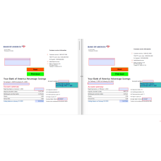 Bank of America January February 2020 Bank Statement Template Editable