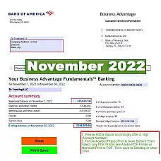 November (BofA) 2022 Editable Bank Statement Template (Business) 